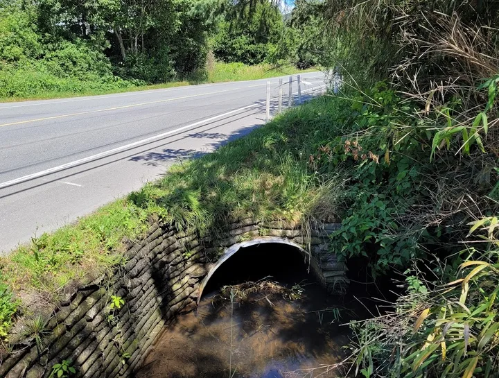 Culvert opening beside a road and driveway