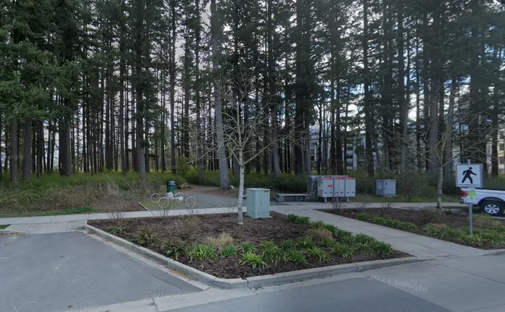 Anglers Woodlot Trail in Chilliwack, British Columbia.