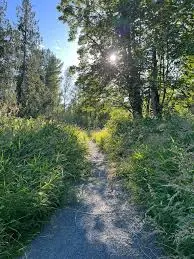 Beaver Loop Trail in Chilliwack, British Columbia.