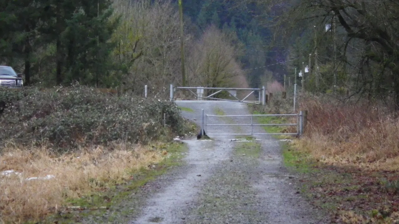 Bergman Rd Trail in Chilliwack, British Columbia.