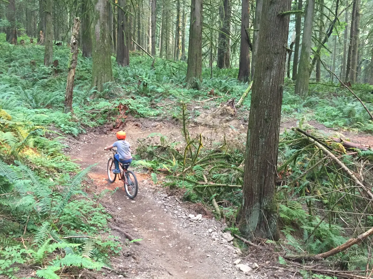 Chilliwack Community Forest in Chilliwack, British Columbia.