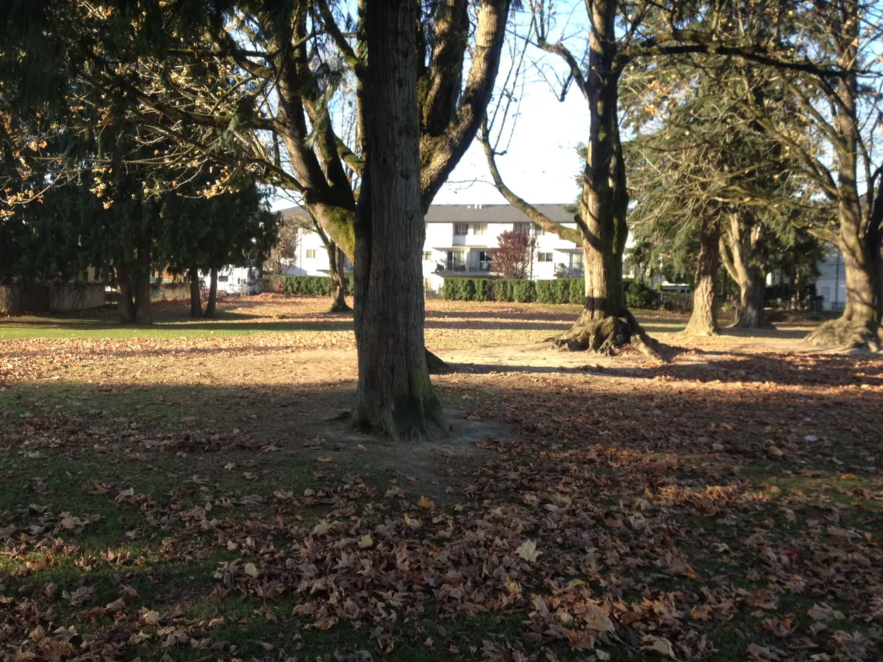 Clover Park in Chilliwack, British Columbia.