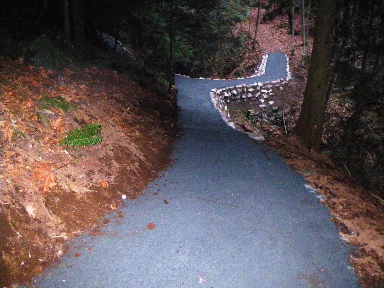 Horse Loop Trail in Chilliwack, British Columbia.