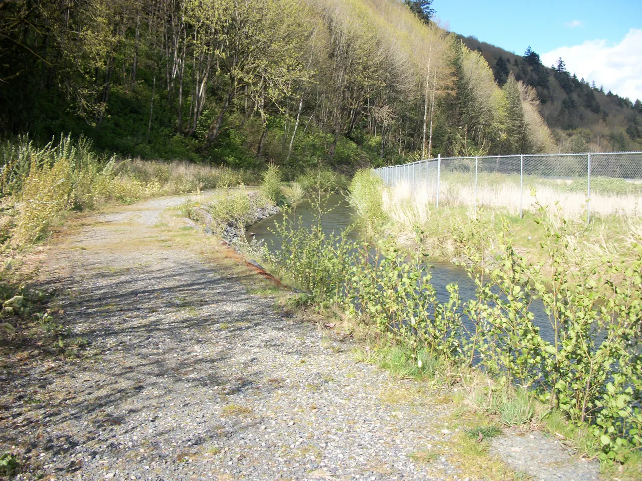 Lickman Ponds Trail in Chilliwack, British Columbia.