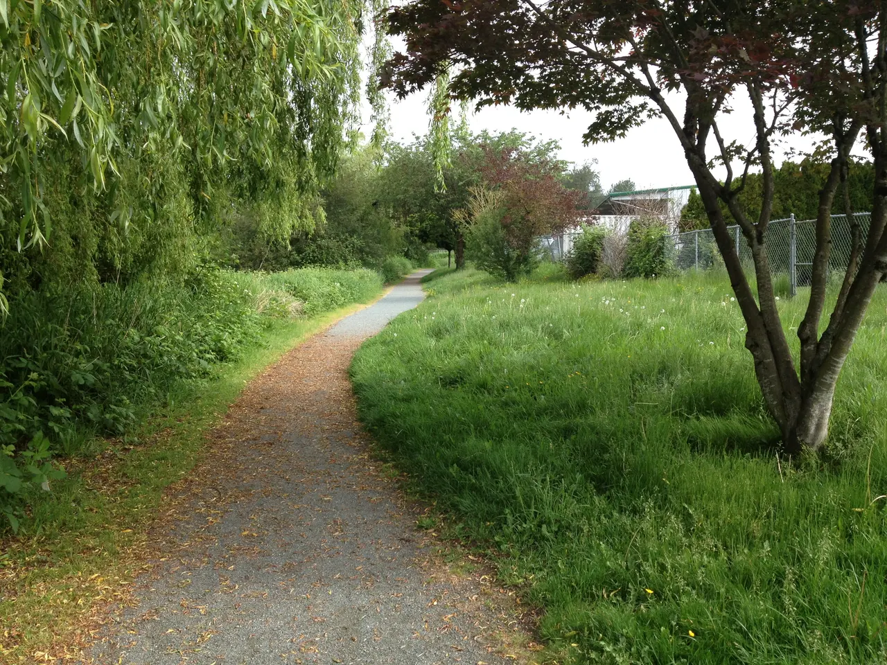 Luckakuck Creek Trail in Chilliwack, British Columbia.
