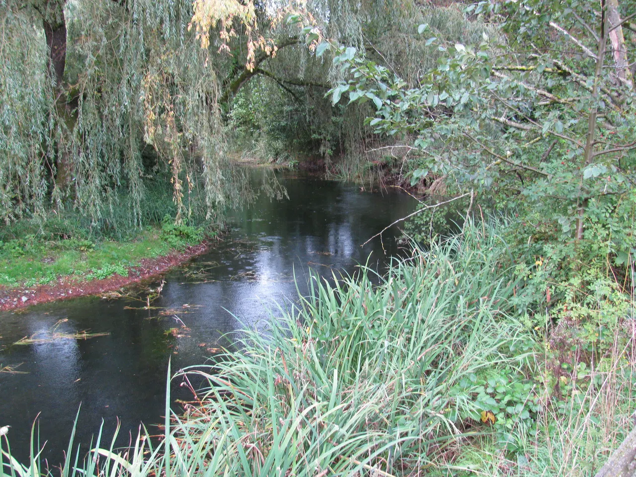 Manuel Park in Chilliwack, British Columbia.