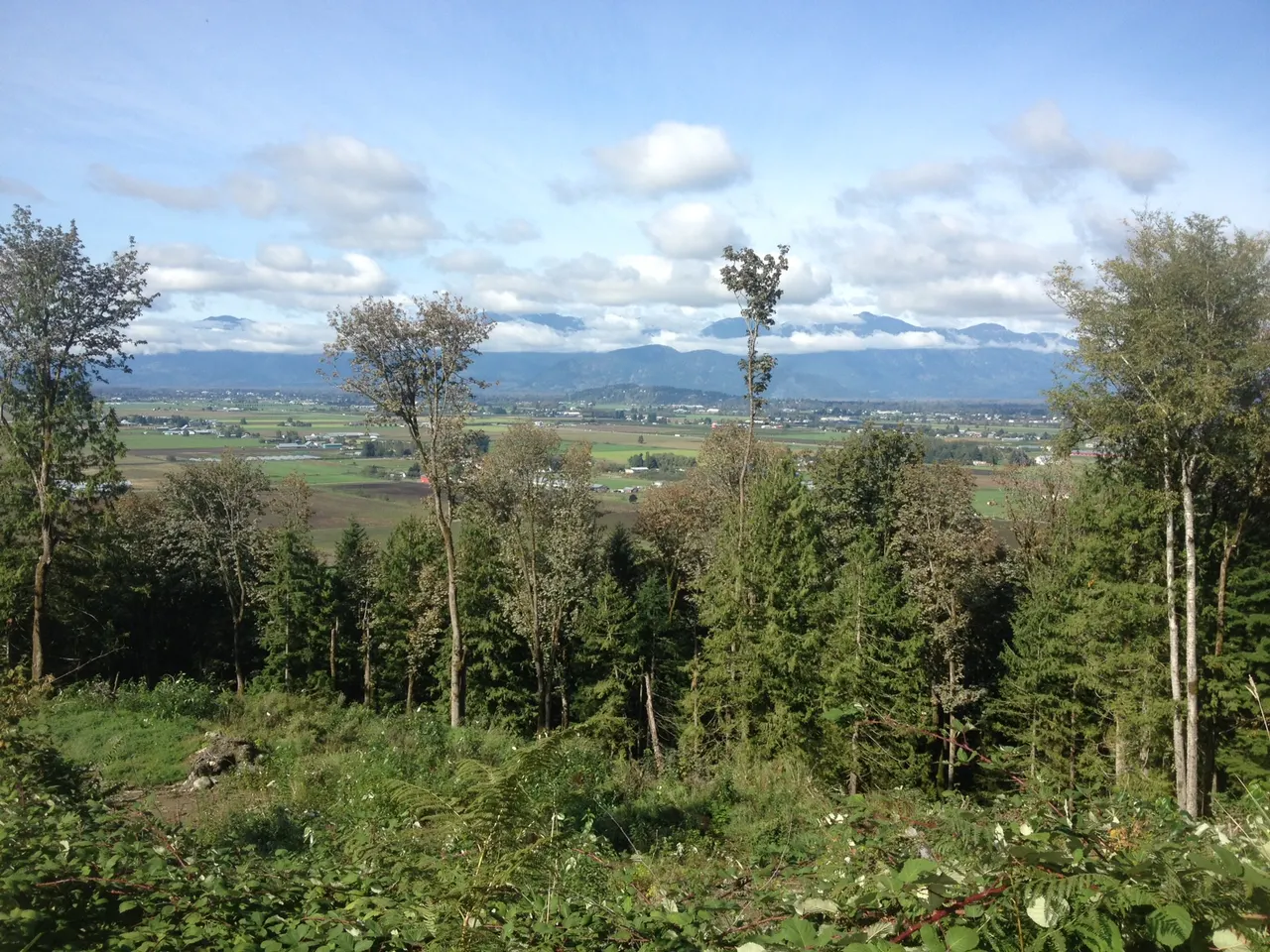 Old Marble Hill Road in Chilliwack, British Columbia.