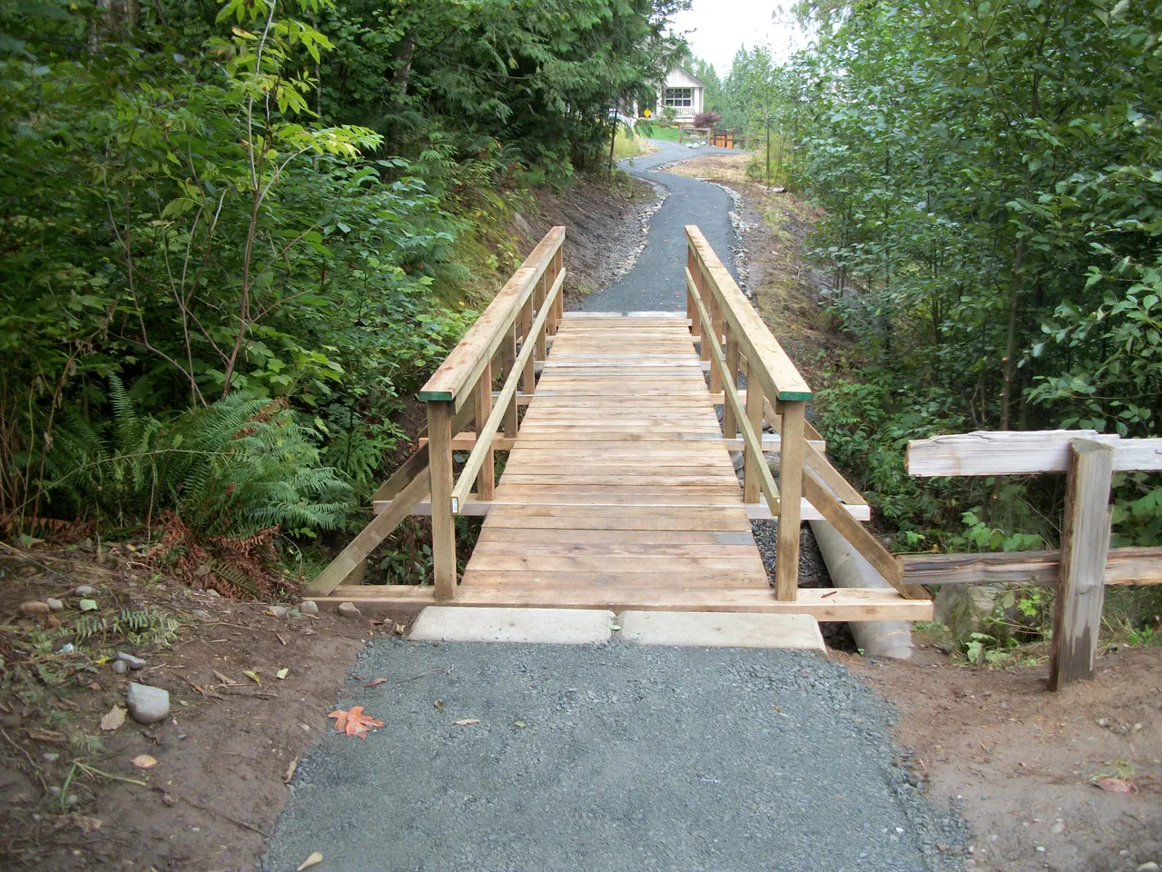 Pirie Brook Natural Area in Chilliwack, British Columbia.