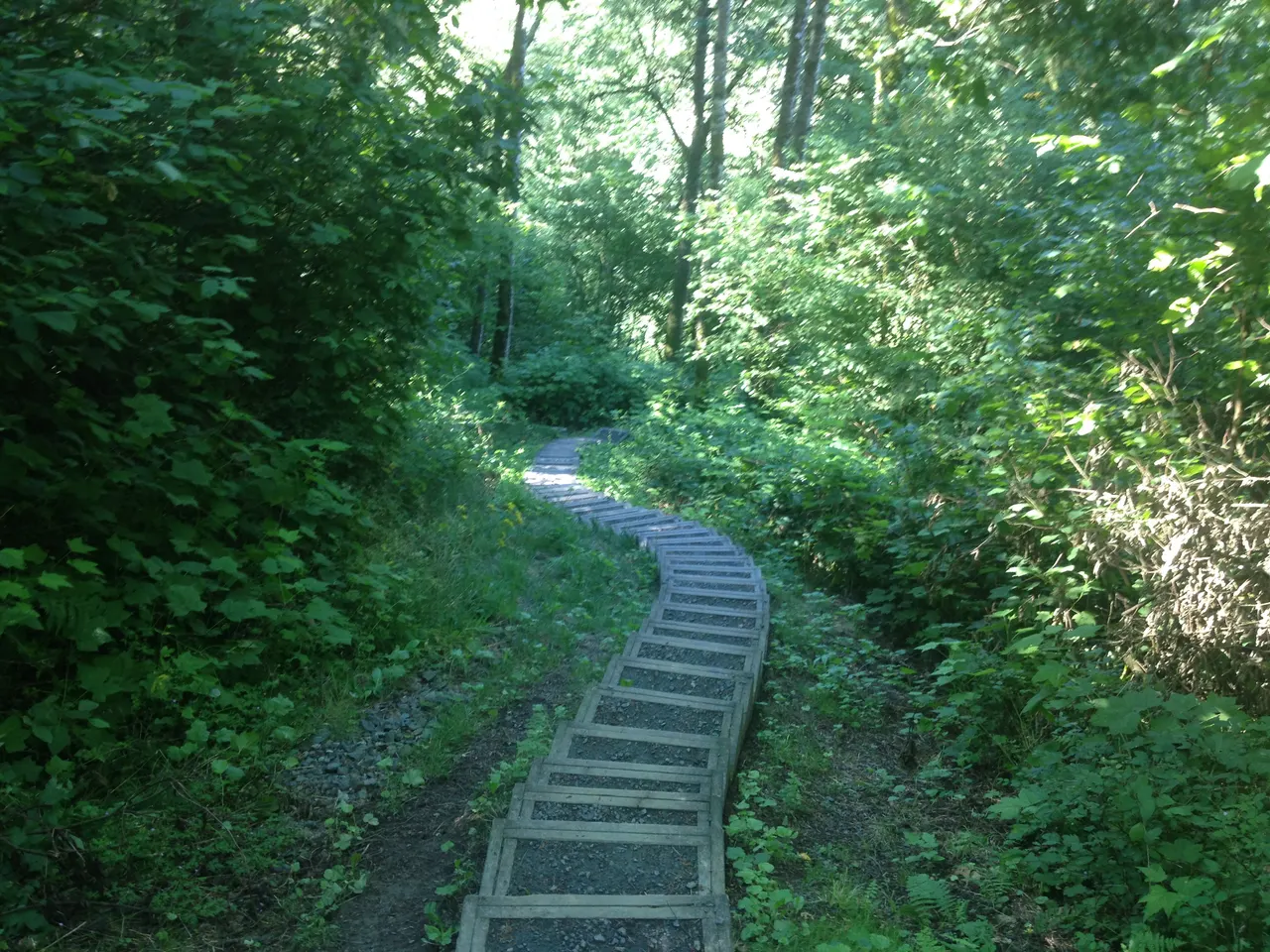 Salmon Ridge Natural Area in Chilliwack, British Columbia.