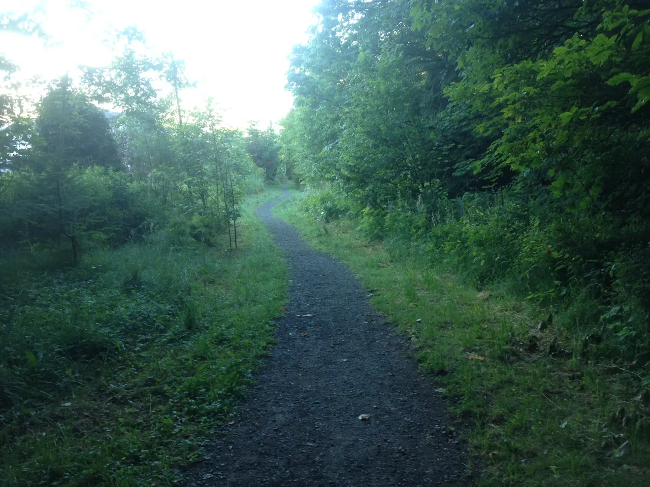 Teskey Creek Trail in Chilliwack, British Columbia.