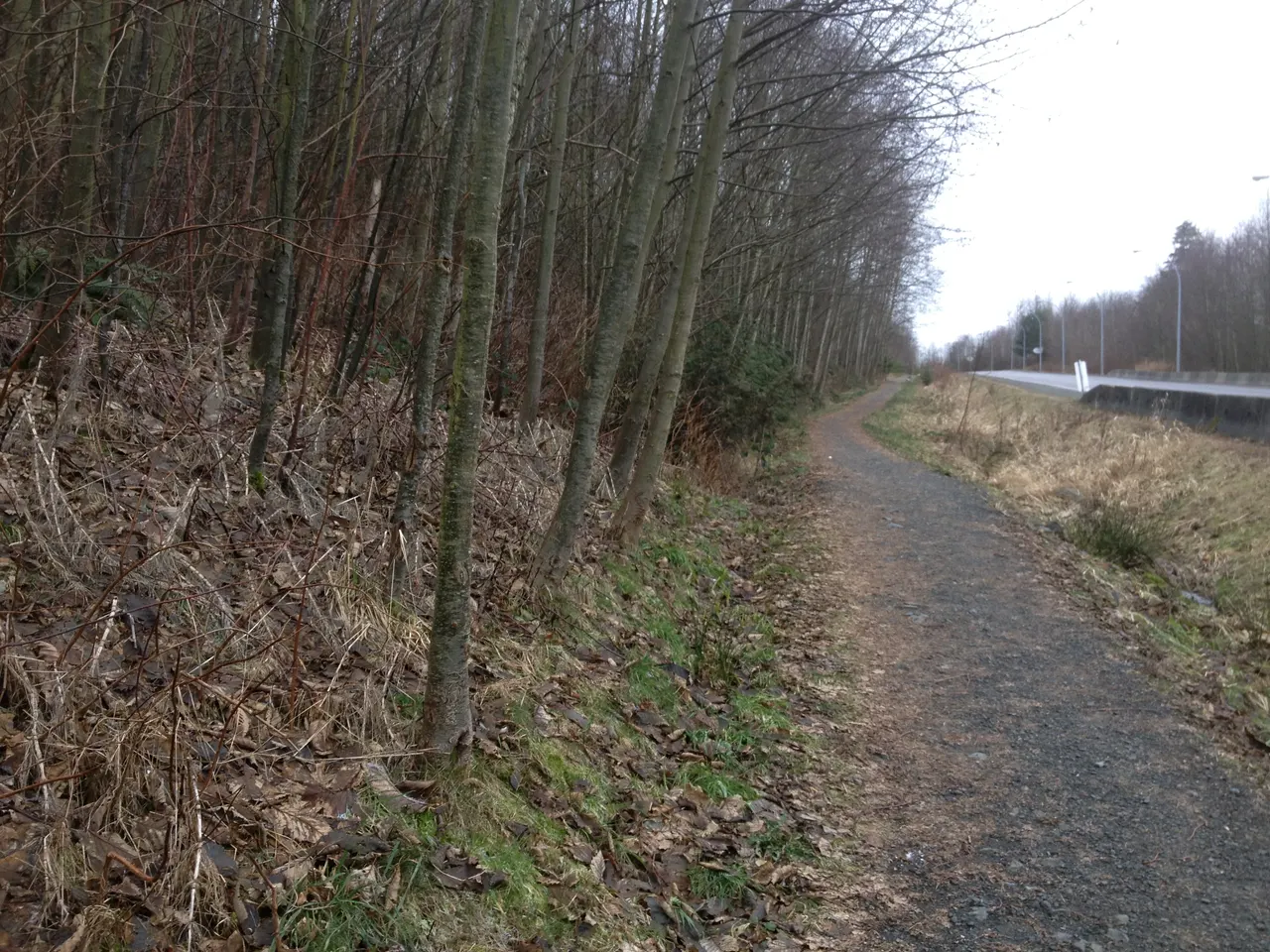 Teskey Way Trail in Chilliwack, British Columbia.