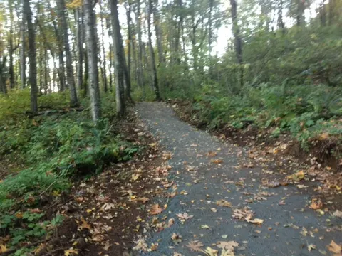 Thom Creek Trail in Chilliwack, British Columbia.