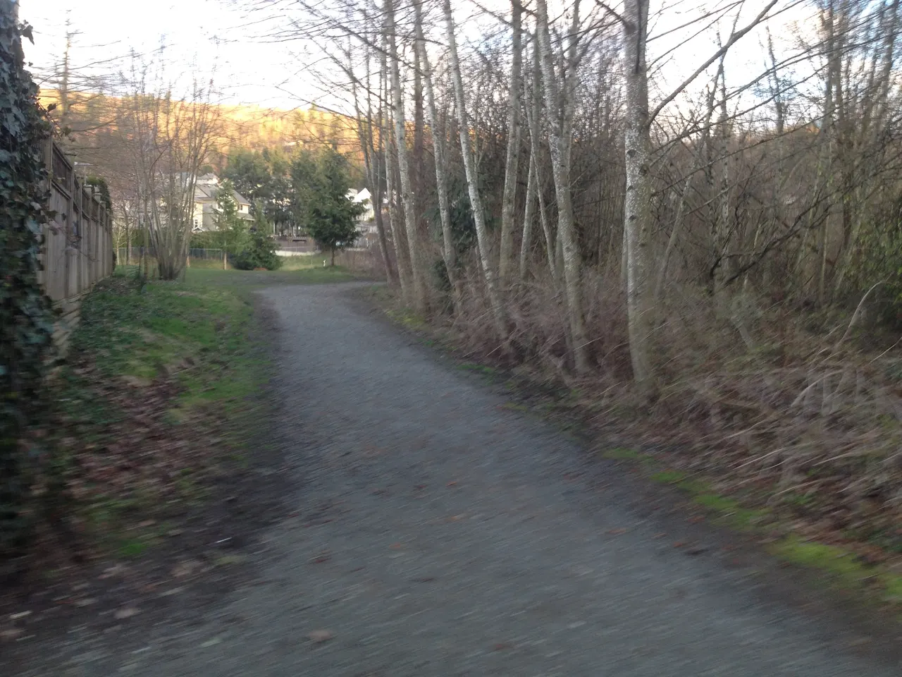 Thornton Creek Natural Area in Chilliwack, British Columbia.
