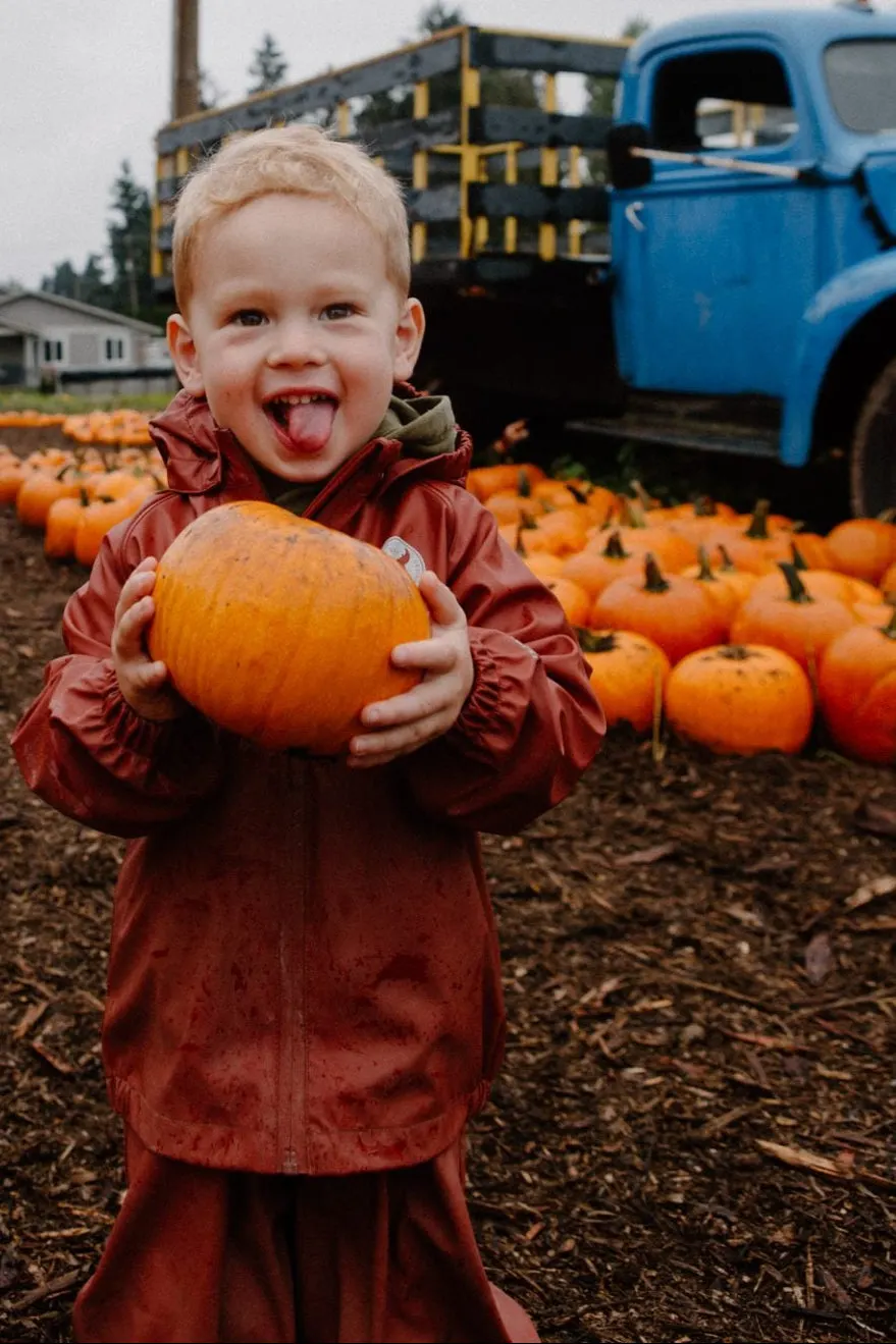 Autumn farm scene at Greendale Acres